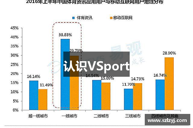 认识VSport